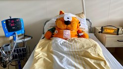 Umfangreiches Kinderprogramm