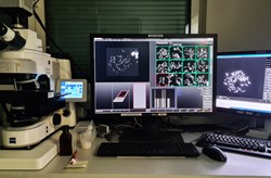 Institut für Medizinische Genetik