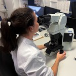 Ass. Dr. Michelle Mottl beim Mikroskopieren