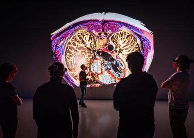 Virtuelle Anantomie im JKU medSPACE