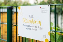 Blütenhonig-Tafel des Kepler Uniklinikums
