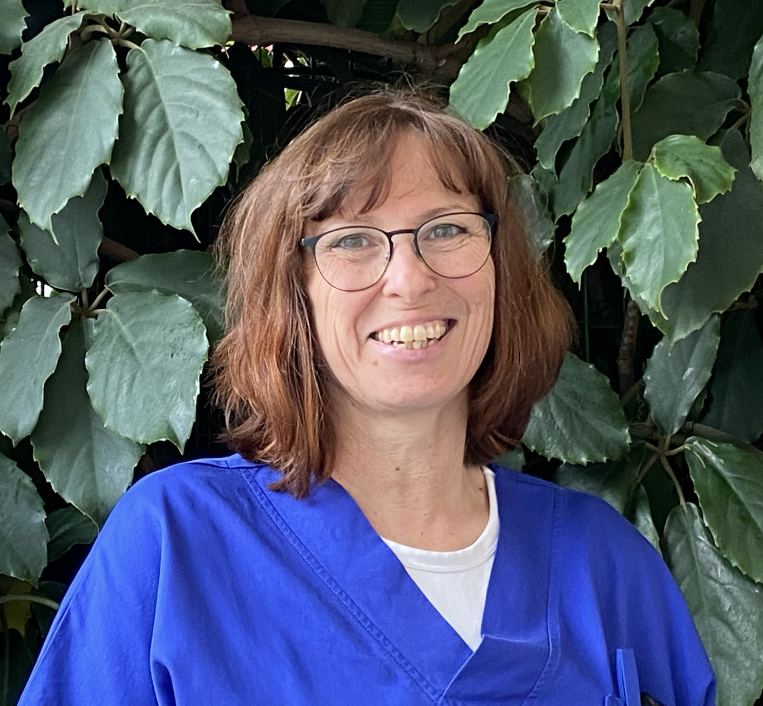 Pallative Care Regina Schönböck