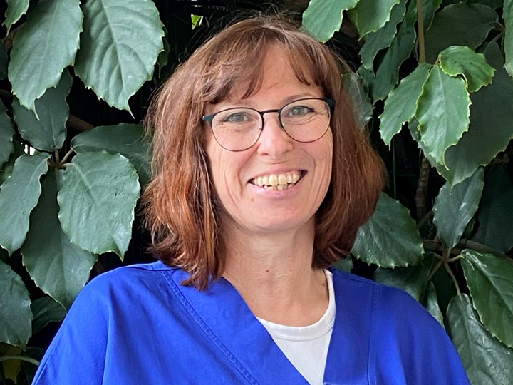 Pallative Care Regina Schönböck