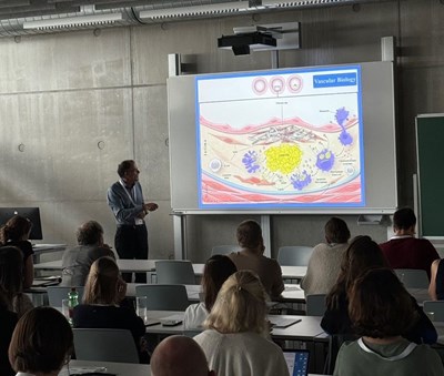 Schlaganfall Summer School 2024 und Schlaganfall-Nachsorgetreffen in Linz