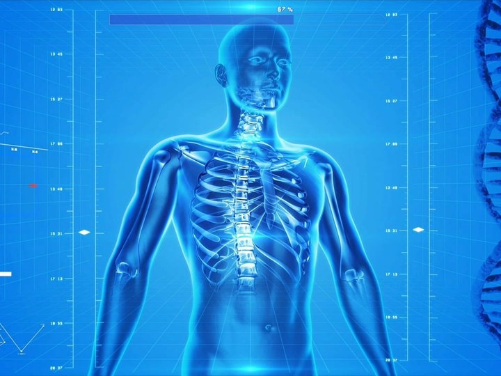 Rendering eines menschlichen Skeletts