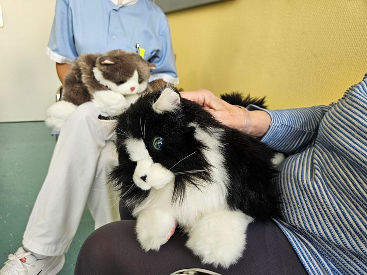 Patientin mit Roboterkatze