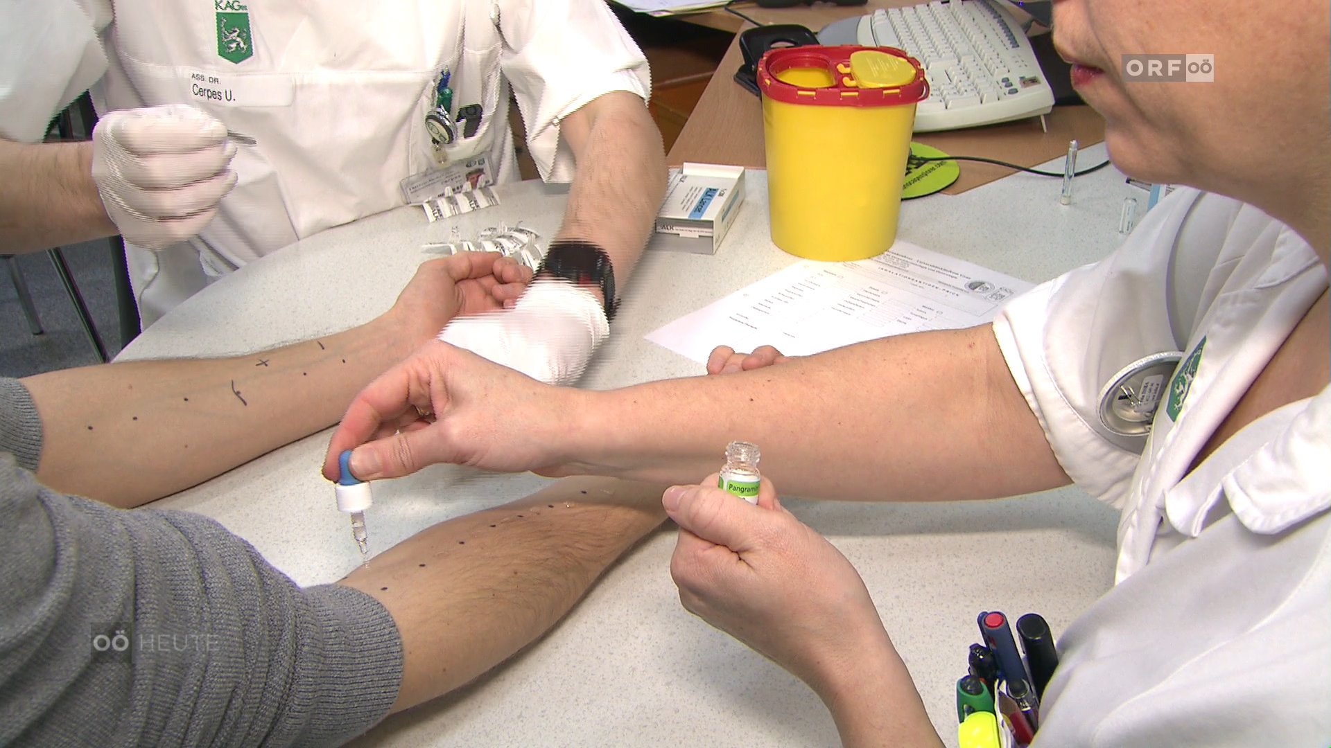 Pollen als häufige Allergieauslöser – Lungenspezialist Primarius Lamprecht steht Rede und Antwort