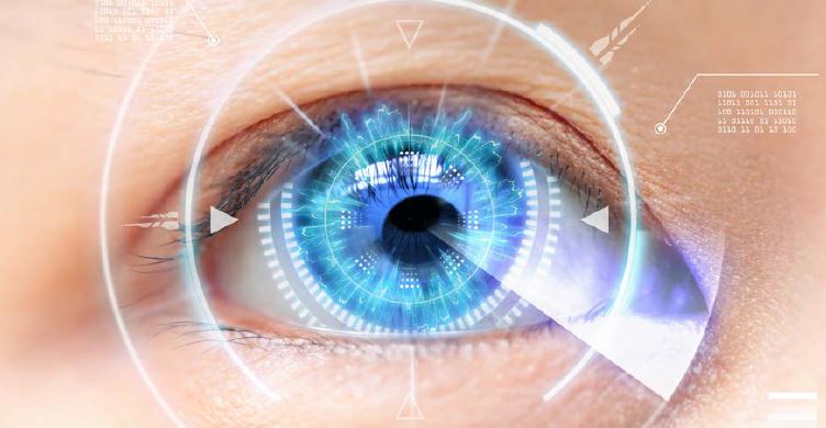 Schematische Darstellung eines Auges