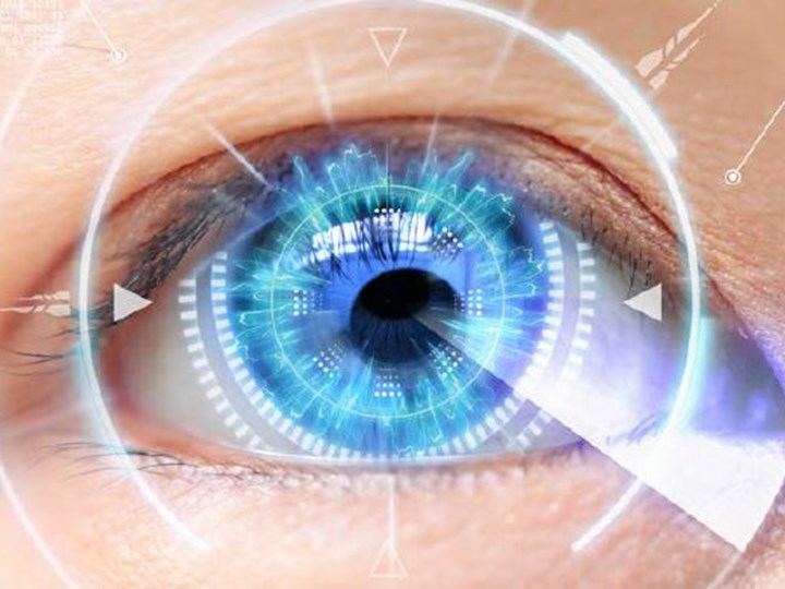 Schematische Darstellung eines Auges